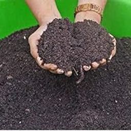leaf compost for plants 1.9kg-picture-26