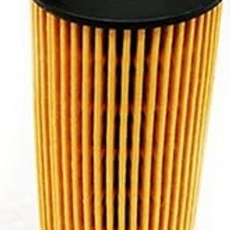 Engine Oil FIlter Compatible with BMW (F-20,F21)-17