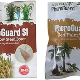 SI Rice Yellow Stem Borer Lure - Scirpophaga Incertulas | Pack of 5 | & | RF Red Palm Weevil Lure - Agriculture Use | 50-60 Days Life | Pack of 5)-image-14