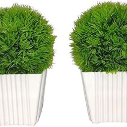 Ora Petals Artificial Decorative Grass Ball Plants (Set of 2) – White Pot | Home & Office Table Decor | Eco-Friendly & Low Maintenance-image-84