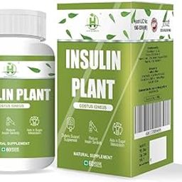 Healthy Nutrition - Just for the Health of it Insulin Plant (Costus Igneus) 60 Vegetarian Capsules- Natural Gluten Free-picture-18