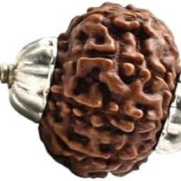 9 Mukhi Rudraksha Pendant in Pure Silver Capping | Certified Original Bead For Astrology Purpose नव मुखी रुद्राक्ष-picture-14