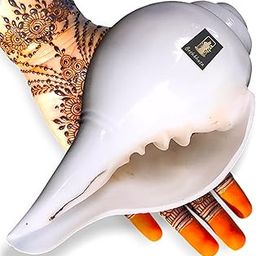 Beshbhusa 7 Inch Big Size Vamavarti Original Loud Blowing Shankh | Conch Shell Sankh for Pooja 700-750 grm, (Size Guarantee - Quality Matters)-image-47