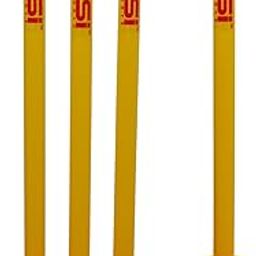 Junior Cricket Stumps Set with Bowling Wicket & Stand with a Height of 22 Inches for Small Kids Age Group 3 to 8 yrs Old-image-46