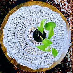 Raja lace Handmade flowered lace Round Table Crochet (24 inch, White)-image-44