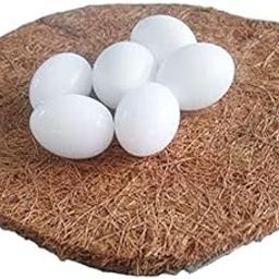 Fake Pigeon Eggs for Hatch Incubation Breeding Solid Small White Eggs (Pack of 5 Pcs)-image-20