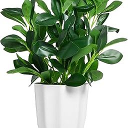 fancymart Plastic Artificial Rubber Plant With Pot Perfect For Home Decor And Office Decor, Ficus, Green-image-6