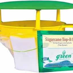 Pheromone Trap for Sugarcane Top Borer (Scirpophaga excerptalis) Funnel Trap with Sugarcane Top Borer Lure. Pack of 5.-image-12