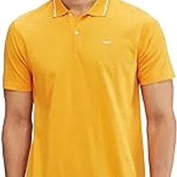 park avenue Men's Slim Fit Stripe Pattern Pure Cotton Half Sleeve Polo Formal T-Shirt-picture-24