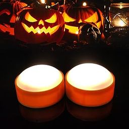 Qinc 2 Pack Halloween Pumpkin Lights with Remote/Timer Led Battery Operated Candles Orange Jack O Lantern Lights Flameless Flickering Candles Pumpkin Decoration for Party Thanksgiving Christmas-24