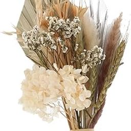 HEAVENGLOW Palm Spear with Natural Dried Boho Decor Brown-image-65