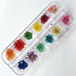 1 Box Dried Flowers for Nail Art12 Colors Dry Flowers Mini Real Natural Flowers Nail Art Supplies 3D Applique Nail Decoration Sticker for Tips Manicure Décor (Multicolor)-43