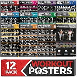 [12-PACK] Laminated Large Workout Poster Set - Perfect Workout Posters for Home Gym - Exercise Charts Incl. Dumbbell, Yoga Poses, Resistance Band, Kettlebell, Stretching & More Fitness Gym Posters-image-50