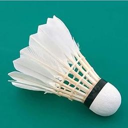 GOLS Hand-Crafted Duck Feather Shuttlecocks for Badminton with Solid Cork Head & Strong Goose Feathers (Pack of 10, White)-image-12
