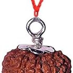 चौदह मुखी रुद्राक्ष ओरिजिनल लैब सर्टिफाइड सिल्वर पेंडंट Chaudah Mukhi Rudraksha Pendant 14 Face of Indonesian Original Rudraksha Beads Lab Certified for Men & Women Wearing Purpose-27