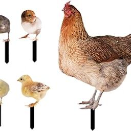 HEAVENGLOW 5X Hen Statue Garden Stakes Chicken Figurines Ground Insert for Pathway Lawn-image-8