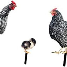 3 Pieces Chicken Animal Statue Animal Shaped Yard Stake for Pathway Decor-image-35