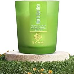 EKAM Herb Garden Votive Soy Wax Scented Candle, 40 Grams, 10 Hours Burn Time| Long Lasting Premium Candles | Ideal for Home Decor | Gifting & Aromatherapy-image-68