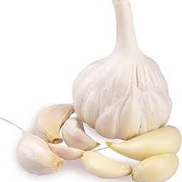Fresh Garlic (lehsun) 100g Pack-image-44