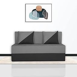Screw & Art Two-Seater Sofa Cum Bed with Cushions, Beige and Brown, Modern Design (Gery and Black)-image-65