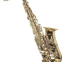 ARCTIC Alto Saxophone with Case, featuring a world-class international finish and a professional setup, designed for musicians, band performers. Includes mouthpiece, reed, and protective case.-image-27