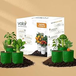 Valar Stir-Fry Sensation Garden Kit | Organic, Non-GMO Seeds | Grow Asian Stir-Fry Veggies at Home! (Pack of 6)-picture-22
