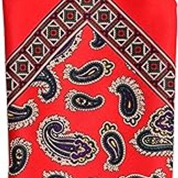 Men's Red Satin Printed Pocket Square (1pc)-image-9