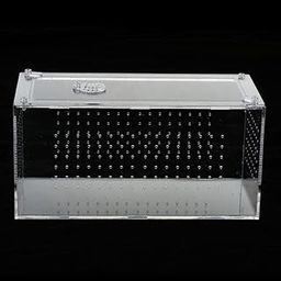SAZ DEKOR® Reptile Terrarium Feeding Box Amphibian Breeding Box for Spide Lizards Frogs-image-47