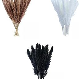 MERISHOPP 45pcs Dried Pampas Grass Phragmites Reed Flower Bunch Home Wedding Decor|Home & Garden|Home D?©cor|Floral D?©cor-image-53
