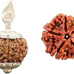 नौ मुखी रुद्राक्ष ओरिजिन Excellent 9 Mukhi Rudraksha with Free 5 Mukhi Rudraksha Nine Mukhi Rudraksha Original Certified Nepali Beads Nav Mukhi Rudraksha with Pendant For Chanting-picture-38