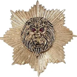 adorn Antique Metallic Toned Royal Magestic Lion Brooch For Men (B2352B)-picture-29
