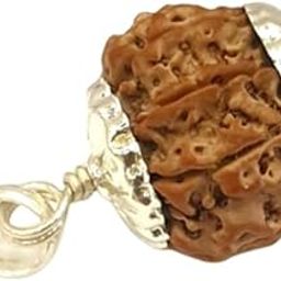 6 मुखी रुद्राक्ष ओरिजिनल 6 Mukhi Rudraksha Nepali Brown Beads Natural Six Face Lord Kartikeya Round Shape Original Certified By Lab छह मुखी रुद्राक्ष 6 Face Six Mukhi Rudraksha for Jaap By BluDiamond-image-49