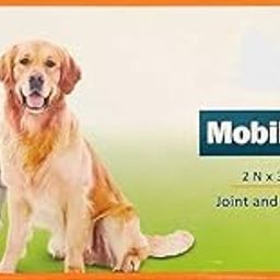 BULLYPET Mobility Plus Joint and Hip Supplement for Dogs and Cats Pack of 60 Tabs (Pack of 1)-image-72