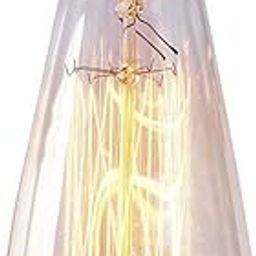 fizzytech E27 Base 230 Lumens Antique Vintage Edison Glass Bulb With Squirrel Cage Filament (Amber, S64 40 Watt), LED-picture-24