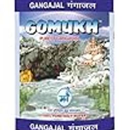 "GOMUKH” Gangajal The Purest Holy Water Directly From Gangotri Valley Approved By Govt. Of Uttrakhand For Puja Purposes 2 Litre-21