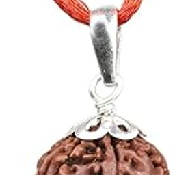 5/Five Mukhi Rudraksha, Nepalese Beads Size 16mm-22mm, Color-Brown-picture-47