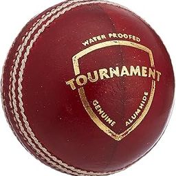 SG MYSPOGA_1513055 Other Tournament Leather Ball, Others (Multicolor)-image-60
