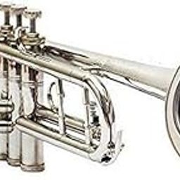 Trumpet brass silver-picture-12