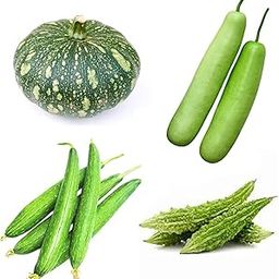 Superiozone Exotic Combo Vegetable Seeds Pack (BOTTOLGUARD+BITTERGUARD+SPONGEGUARD+PUMKIN)-image-66