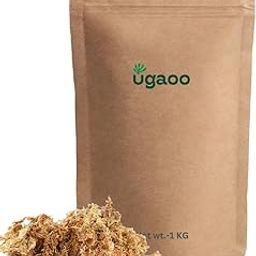 UGAOO Natural Dried Moss for Plants | Green Sphagnum Moss for Moisture Retention & Root Development (1 KG)-image-24
