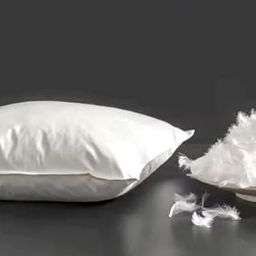 Sohum- Luxury Down Feather Pillow- (Soft)- Big 20x30-image-18