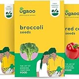 UGAOO Exotic Vegetable Seeds Combo Of Red Cherry Tomato, Broccoli, Red Capsicum-image-23