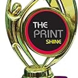 THEPRINTSHINE Customized Shiny Godlen Trophies with Plastic Base Small Size Trophies for Winners appreciations Event Occasion Award (Award_3)-image-37