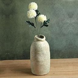 Habere India-All The Cultures Fabricating India Flower Vase | Home Decor Items | Flower Pot for Living Room | Vase for Home Decor | Vase for Living Room | Ceramic Flower Vase (L: L13xW13xH24 CM)-image-69