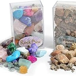 Fossil and Rock Box Set. Pack of 2 Boxes-image-21
