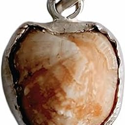 Machmani Silver Locket, Aprox- 16.00 CT, Natural Stone With Lab Certified, Brown Colour, Student Preparation, Self-Confidence, Vastu Dosh-picture-1