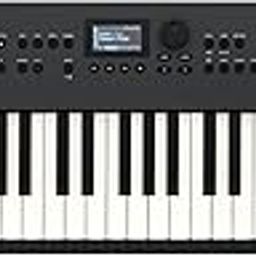 Roland GO:KEYS 5 Music Creation Keyboard | 61-Note Keyboard | Built-In Stereo Speakers | Mic Input | Bluetooth Audio/MIDI Support for Music Streaming - Graphite-11