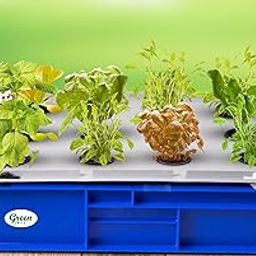 Green Live Hydroponic 12 Plant System, Home Garden, Small Balconies, nutrients & All Essentials to Start Growing Plants Indoor & Outdoor hydroponic Gardening-picture-30