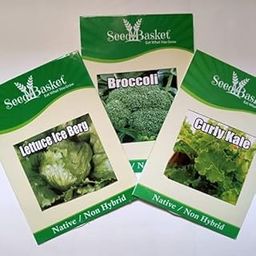 Seed Basket Native/Non-Gmo Broccoli/Curly Kale/Lettuce Iceberg Seeds for Home Garden|Pack of 3|Best In Germination|Free Growing Instruction Manual-image-43