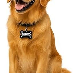 Payton Perry Personalized Dog Name ID Tag for Dog/Cat | Lightweight, Water-Proof, Rust-Proof and Skin Safe (Bone Shape)-17